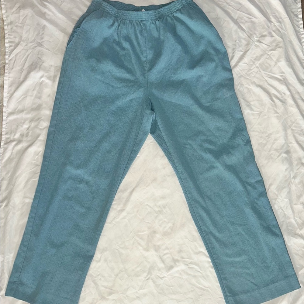 Alfred Dunner Men's Teal Joggers